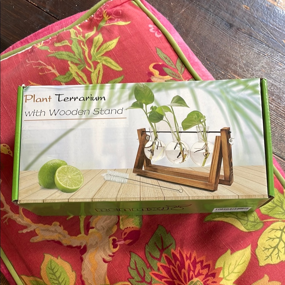 Plant Terrarium with wooden stand